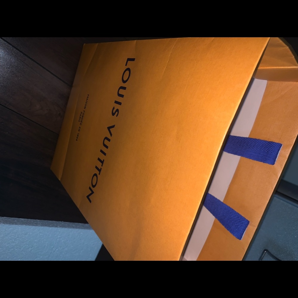 Louis Vuitton Paper Bag Authentic